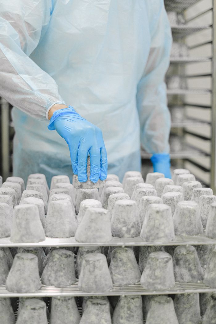 Crafting Captivating Headlines: Your awesome post title goes here A worker in protective gear inspects matured cheese in an industrial setting, ensuring hygiene and safety standards.
